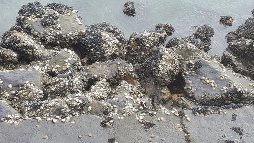 Close-up of sand on beach