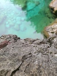 Close-up of rock in sea