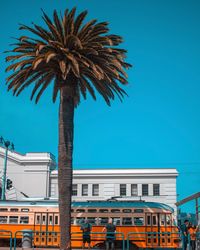 Low angle view of palm tree by building against clear blue sky