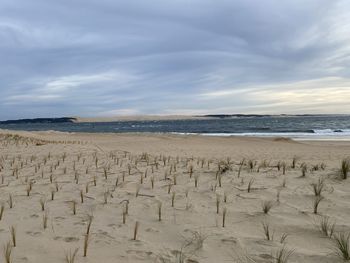 Scenic view of beach against sky