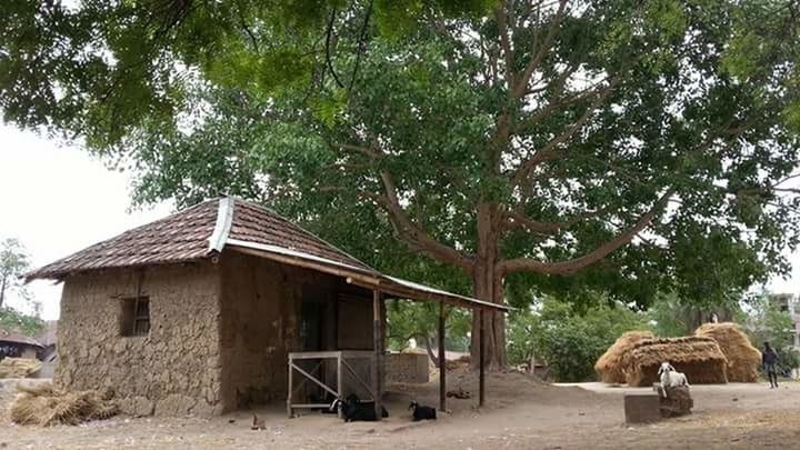 Countryside India