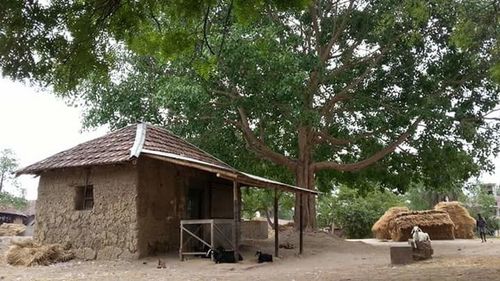 Built structure with trees in background