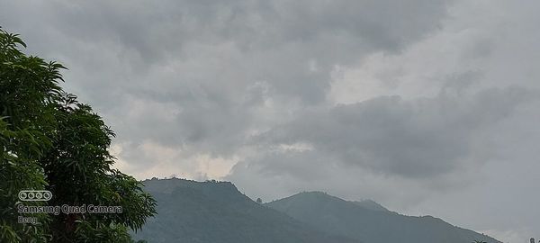 Low angle view of trees against cloudy sky