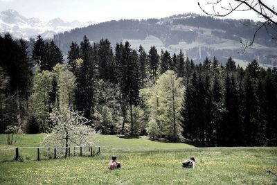 Scenic view of field against trees