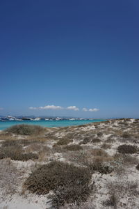 Scenic view of beach against blue sky