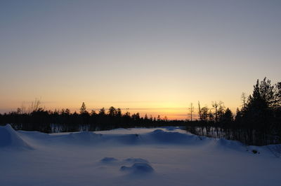 Snow covered plants against sky during sunset