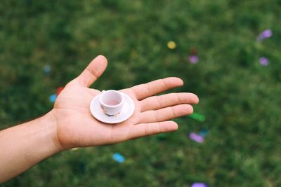 Close-up of hand holding flower