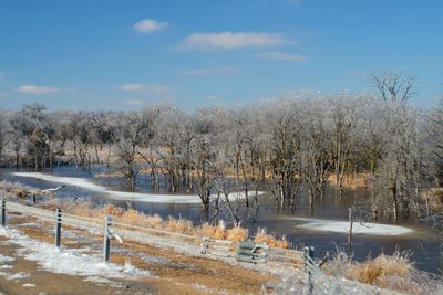 Trees on snow covered landscape against sky