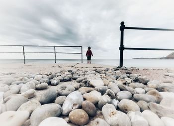 Rear view of man standing on rocks by sea against sky