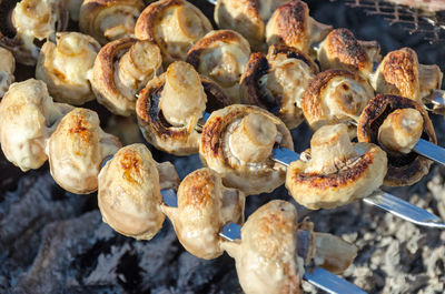 Champignon mushrooms on skewers are grilled on coals on the grill.
