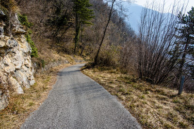 Road amidst trees in forest