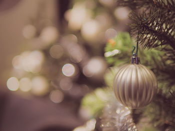 Close-up of christmas tree