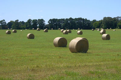 Hay bales on field against sky