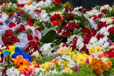 Close-up of multi colored flowering plants