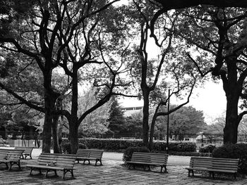 Empty bench in park