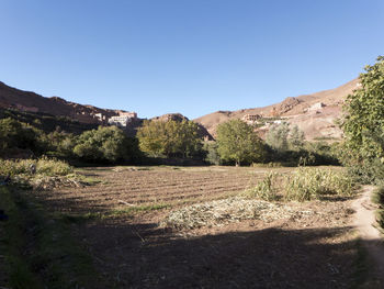 Scenic view of field against clear blue sky