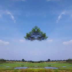 Scenic view of grassy field against cloudy sky