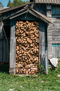 Stack of logs in forest