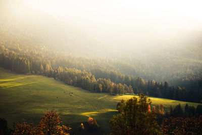 Scenic view of trees and mountains against sky