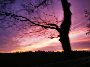 Silhouette trees on field against dramatic sky during sunset