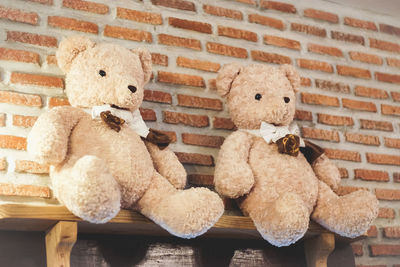 Close-up of stuffed toys against wall at home