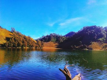 Scenic view of lake in forest against blue sky