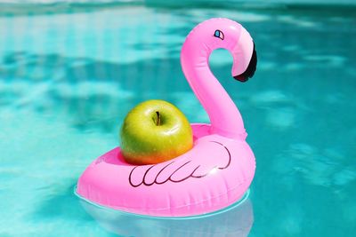 Apple in inflatable duck on swimming pool