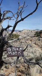 Close-up of text on tree against sky