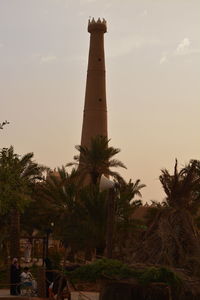 Low angle view of palm tree and lighthouse against sky