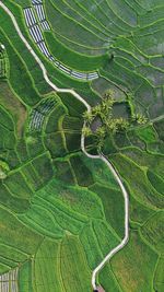 High angle view of road