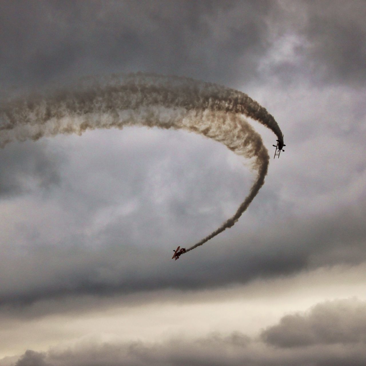 sky, flying, cloud - sky, low angle view, cloudy, animal themes, mid-air, one animal, animals in the wild, transportation, wildlife, airplane, on the move, nature, cloud, mode of transport, air vehicle, outdoors, motion, day