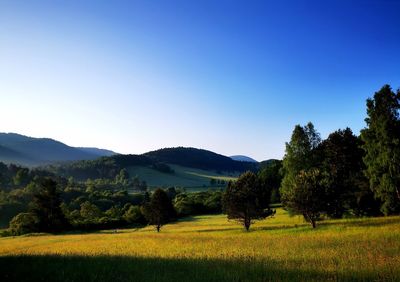 Scenic view of field against clear sky