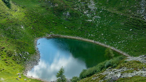 High angle view of waterfall in forest