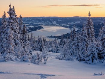 Scenic view of snow covered field against sky during sunset