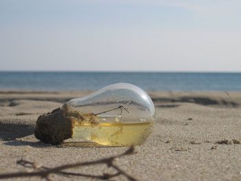 Close-up of discarded bulb on sand