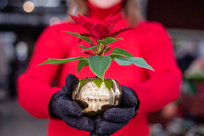 Close-up of woman holding red plant