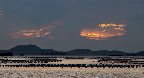 Scenic view of lake at sunset