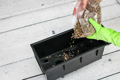 High angle view of person putting stones in flower pot on table