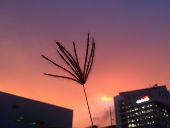 Low angle view of silhouette building against sky at sunset