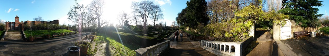 Panoramic shot of trees against sky