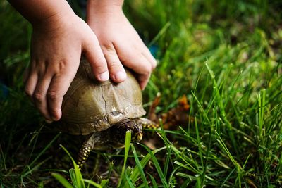 Midsection of man with hand on grass