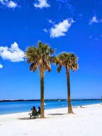 Palm trees on beach against blue sky
