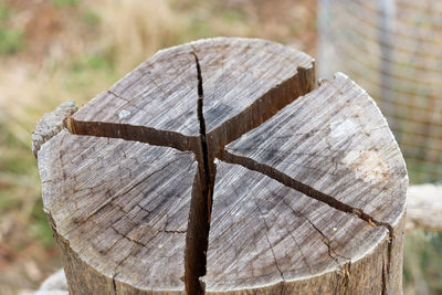 Cross section of cracked wooden post