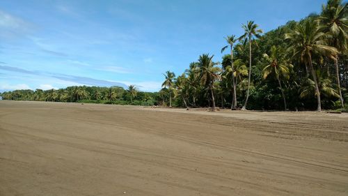 Scenic view of green landscape against blue sky