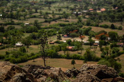 Scenic view of trees and buildings