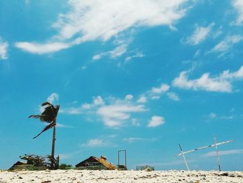 Low angle view of seagull flying against sky