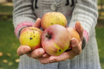 Close-up of person holding apple