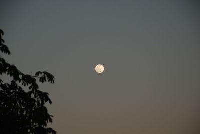 Low angle view of moon against clear sky at night