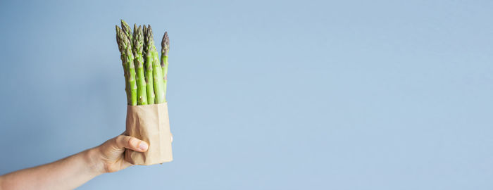 Cropped hand of person holding plant against clear sky