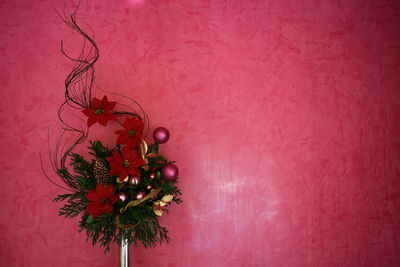 Close-up of plant against red wall